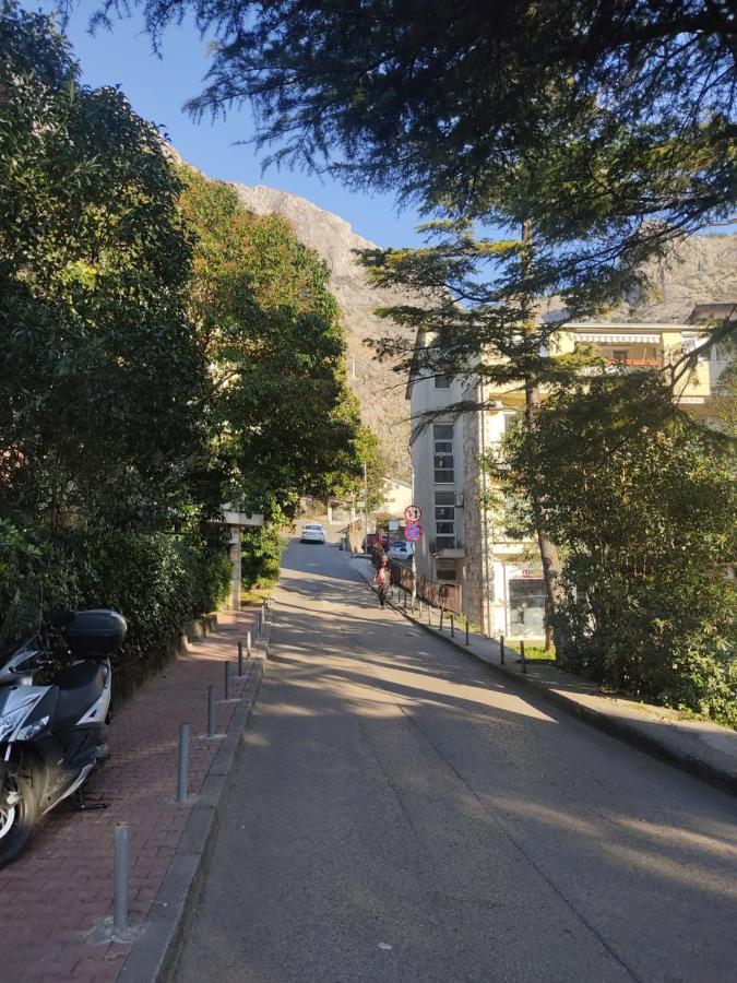 Apartment Oaza Kotor Luaran gambar